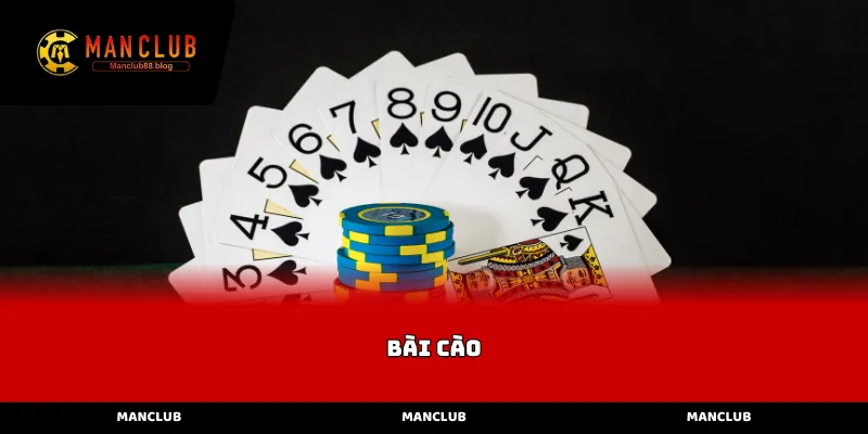 bài cào
